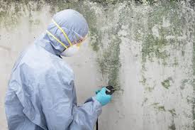 Best Mold Damage Restoration  in USA